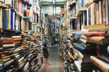 Collaboration between academics and non-profits can help protect citizenship rights