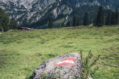 Image by Quaritsch Photography via Unsplash